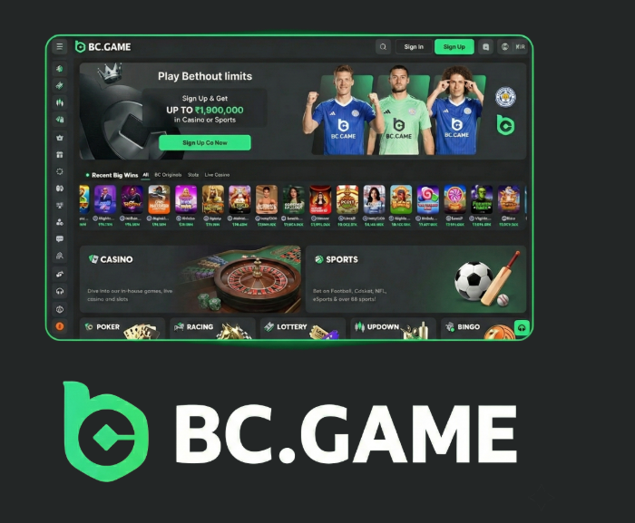 Discover the Exciting World of BC.Game Online Casino